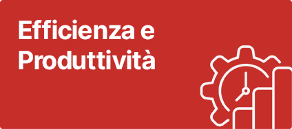 Efficienza e Produttività